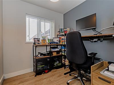 Picture 23